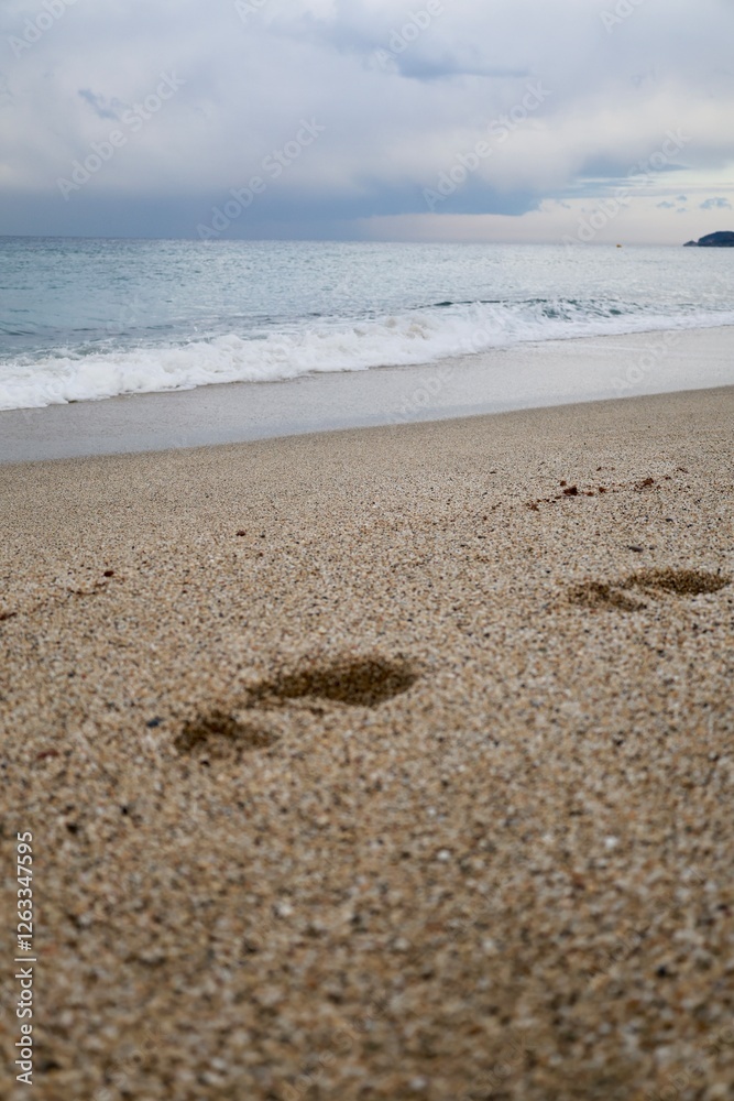 Footprints sandy beach. High quality photo Footprints sandy beach. High quality photo