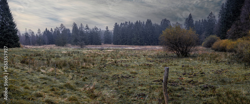 Herbstliche Sumpfwiese am Rand des Hochmoors Mecklenbruch im Naturpark Solling-Vogler
 photo