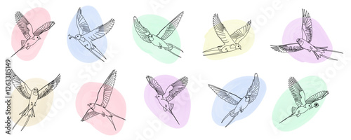 Set of flying swallow. Spring collection of bird on linear style with watercolor spot, isolated on white background.  Vector illustration for banner, social media