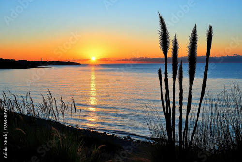 A Serene Sunset With A Cact...