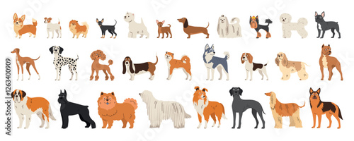 Big set of different dog breeds. Small, medium and large breeds. Flat collection of adult animals