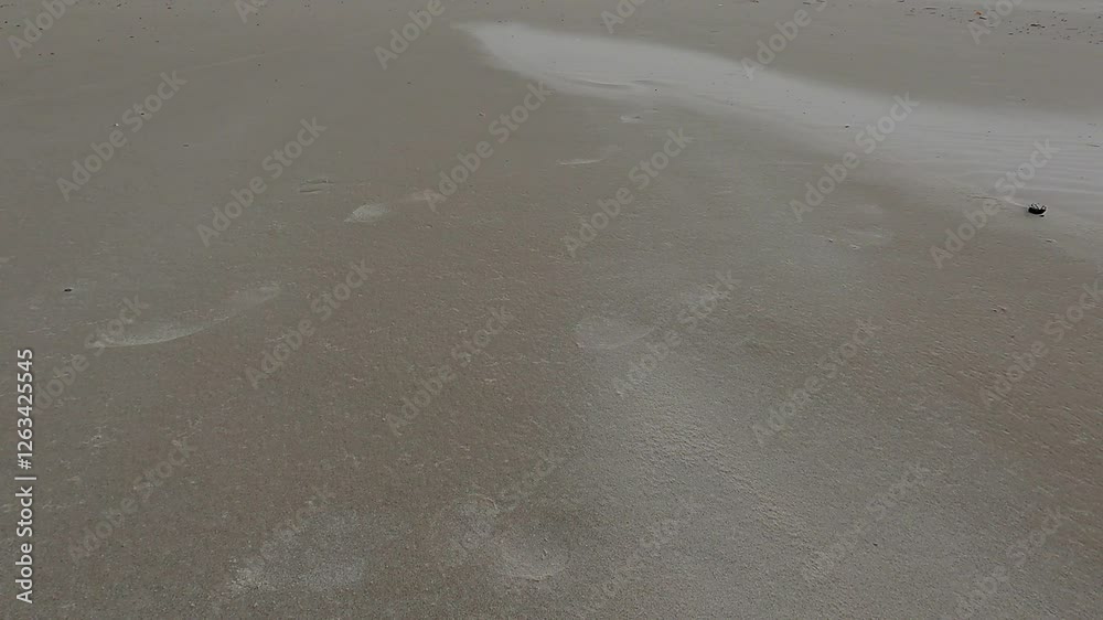 A close-up of soft golden sand shimmering under the bright summer sun.
A close-up of soft golden sand shimmering under the bright summer sun.