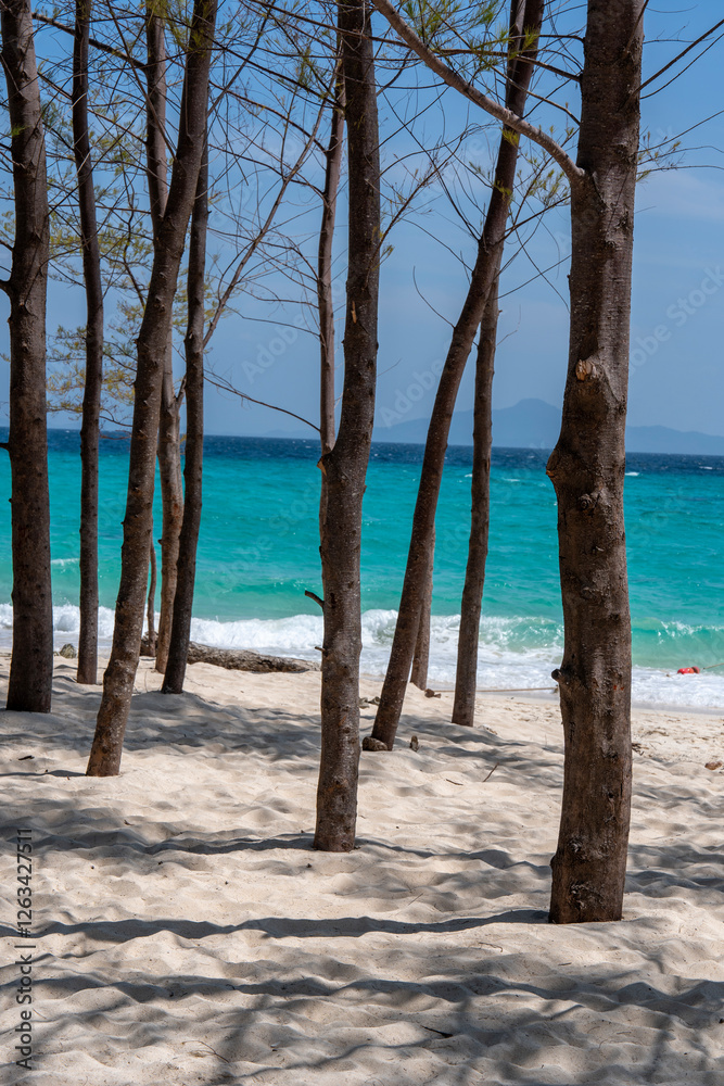 Trees on beach on Bamboo Island or Ko Mai Phai is small island in Thailand, located between Krabi coast and Phi Phi Islands, Adaman sea. Vertical image Trees on beach on Bamboo Island or Ko Mai Phai is small island in Thailand, located between Krabi coast and Phi Phi Islands, Adaman sea. Vertical image