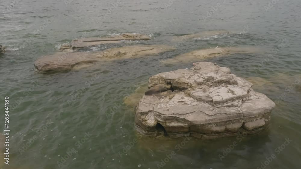 Slow motion of lake water waves hitting coral. Limestone coral submerged in lake water. Feels calm and peaceful. Ecological and environmental concepts. 4K Footage Slow motion of lake water waves hitting coral. Limestone coral submerged in lake water. Feels calm and peaceful. Ecological and environmental concepts. 4K Footage