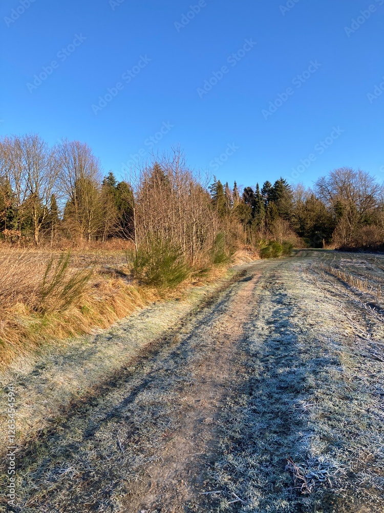 Friedvolle Naturlandschaft mit Feldweg am Waldrand im Winter bei Frost Friedvolle Naturlandschaft mit Feldweg am Waldrand im Winter bei Frost