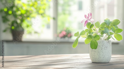 close-up of a lucky four-leaf clover resting on a wooden table, with soft sunlight