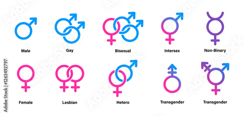 Gender symbols. Gender vector icons. Sex gender. Male, Female, Gay, Lesbian, Bisexual, Transgender, Hetero, Non-Binary, Intersex