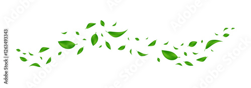 Green flying leaves. Leaf falling llustration . Wave foliage. Realistic leaves vector illustration