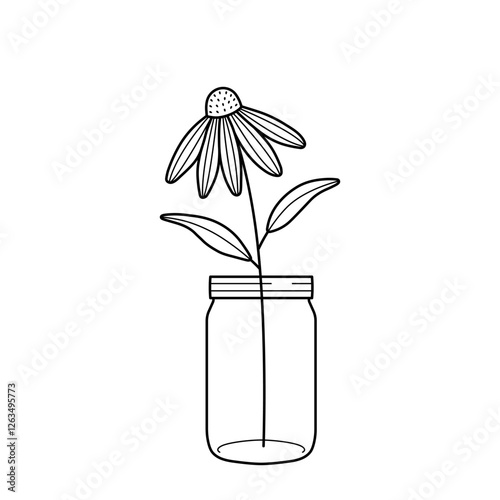 Echinacea flower in a glass jar. Composition of coneflower in a vase for home decor, design. Hand drawn line vector illustration isolated on white background.