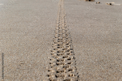 tire tracks in sand