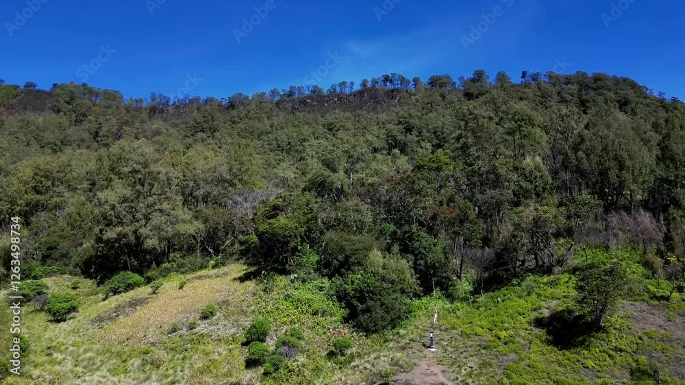 Beautiful aerial view of grasslands and tropical rainforests in the mountains. Drone flying over grasslands and trees in tropical mountains with a clear blue sky background. Beautiful aerial view of grasslands and tropical rainforests in the mountains. Drone flying over grasslands and trees in tropical mountains with a clear blue sky background.