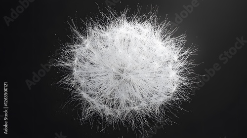 Dandelion Flower on Black Background, Abstract Image, Texture, Pattern Background, Wallpaper, Cover and Screen for Smartphone, PC, Laptop, 9:16 and 16:9 Format