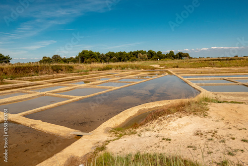 Saline field in france with water fo the ocean 