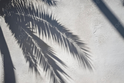 Pared blanca y cuenco de mármol , luz solar suave y hermosa, sombra de hojas de follaje de palma tropical en la pared para cosméticos orgánicos de higiene de lujo, cuidado de la piel, fondo photo