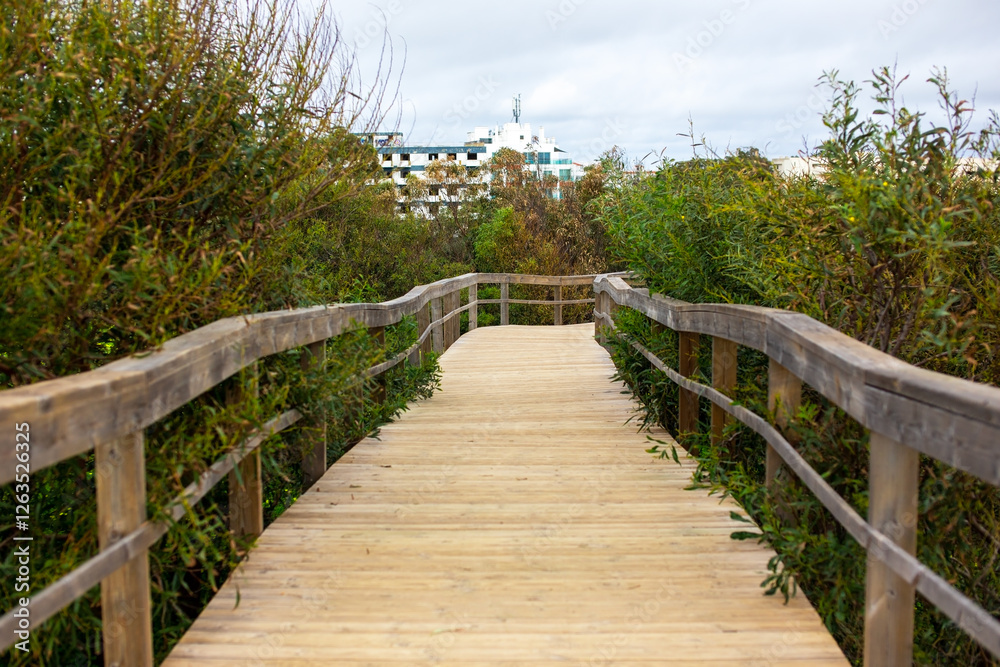 Wooden walkway leading to the beach with a cruise ship in the background Wooden walkway leading to the beach with a cruise ship in the background
