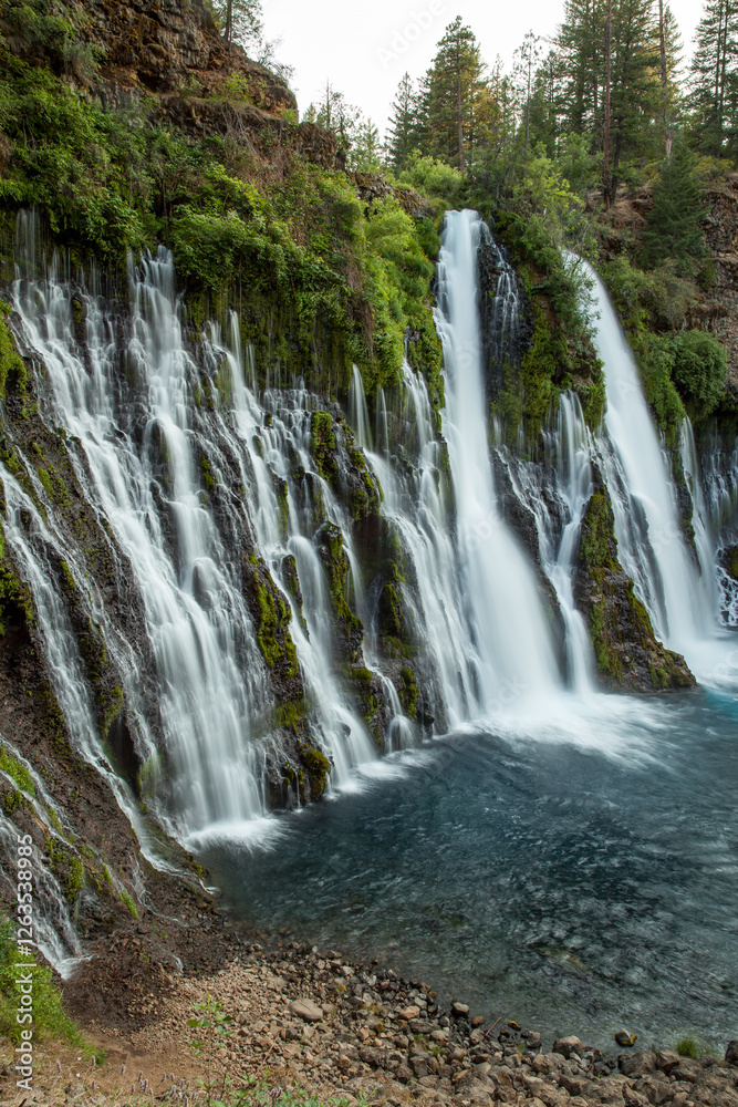 Obraz premium Burney Falls Vertical