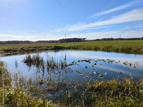 Photos landscape with a pond in the field and a blue sky with clouds