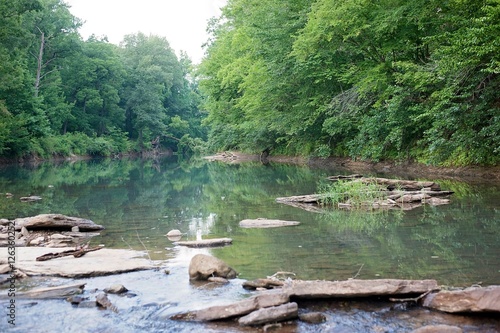 A calm river reflecting lush green trees with rocks and vegetation