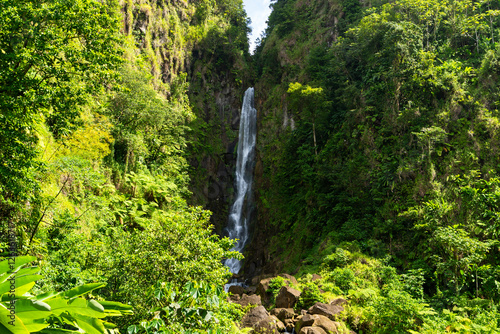 Dominica, Trafalgar Falls - 7 February 2024 - The impressive Father Falls of Trafalgar Falls in Dominica photo
