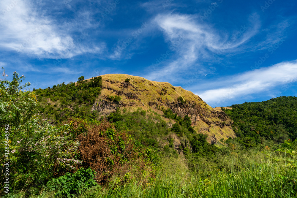 Dominica - 7 February 2024 - A mountain in the lush rainforest in Dominica Dominica - 7 February 2024 - A mountain in the lush rainforest in Dominica