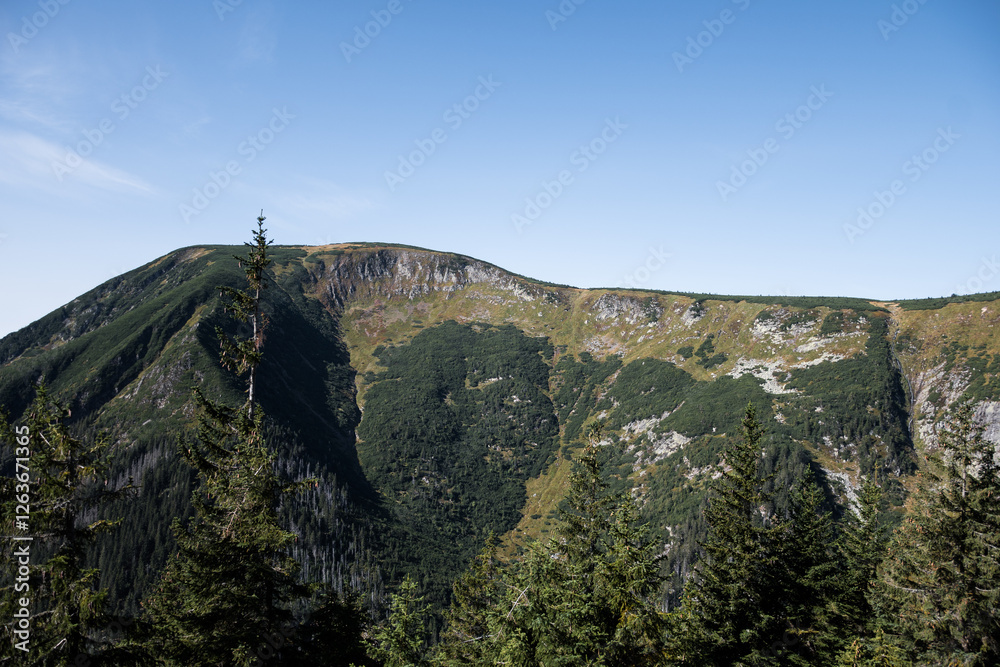 Fototapeta premium krkonose valley