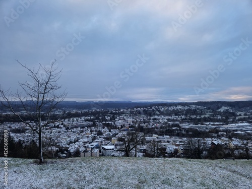 winter landscape with snow