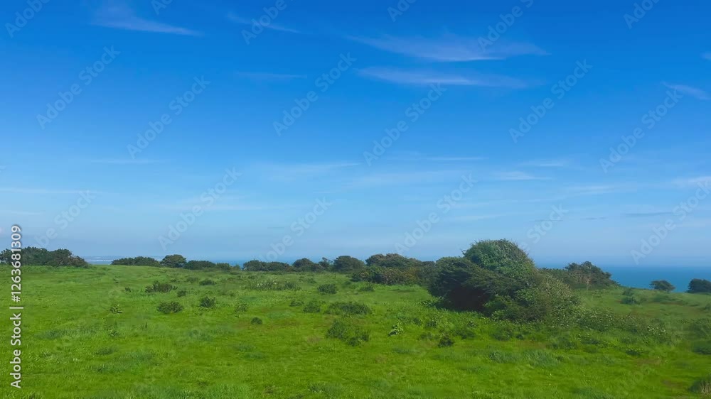English countryside near Eastbourne, East Sussex, United Kingdom, featuring lush green fields blending into the serene coastline and tranquil blue sea under a bright sky English countryside near Eastbourne, East Sussex, United Kingdom, featuring lush green fields blending into the serene coastline and tranquil blue sea under a bright sky