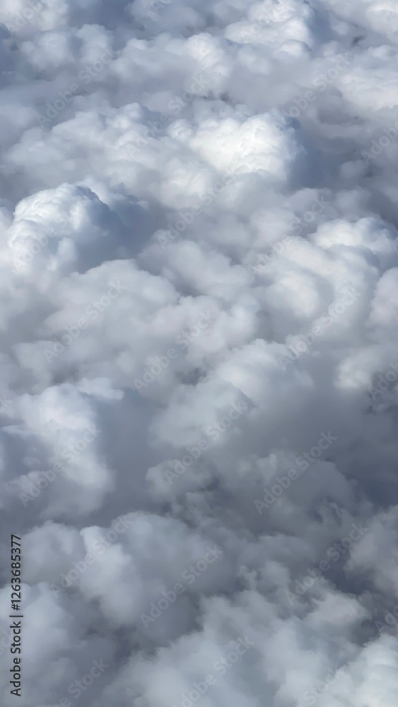 Obraz premium clouds in the sky