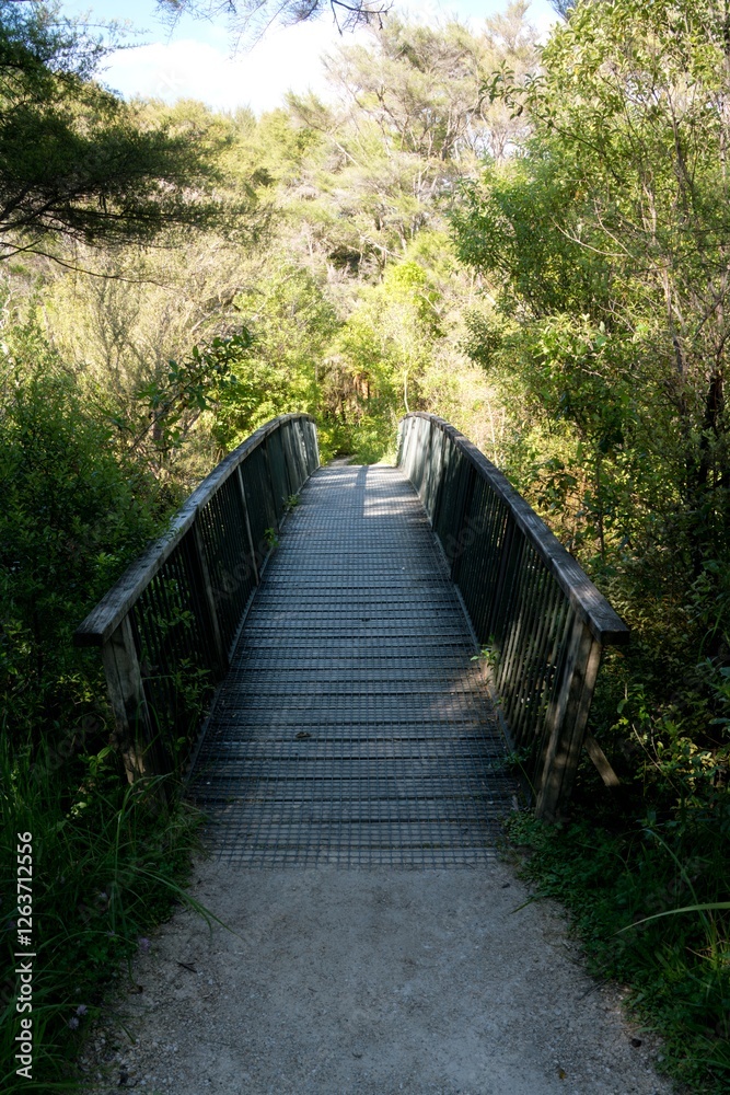 Wooden Bridge in New Zealand’s Wilderness – Scenic Forest Crossing Wooden Bridge in New Zealand’s Wilderness – Scenic Forest Crossing