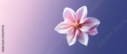 Wallpaper Mural Pink flower bloom, purple backdrop, soft light Torontodigital.ca