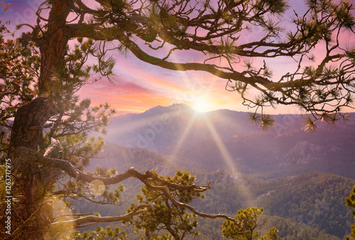 Black Hills South Dakota sunrays
