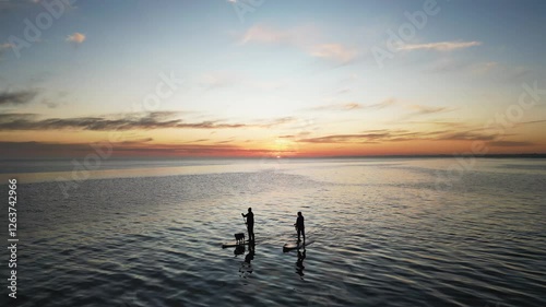 Dogs and Couple on stand up paddle boards at Beach Aspendale VIC Australia