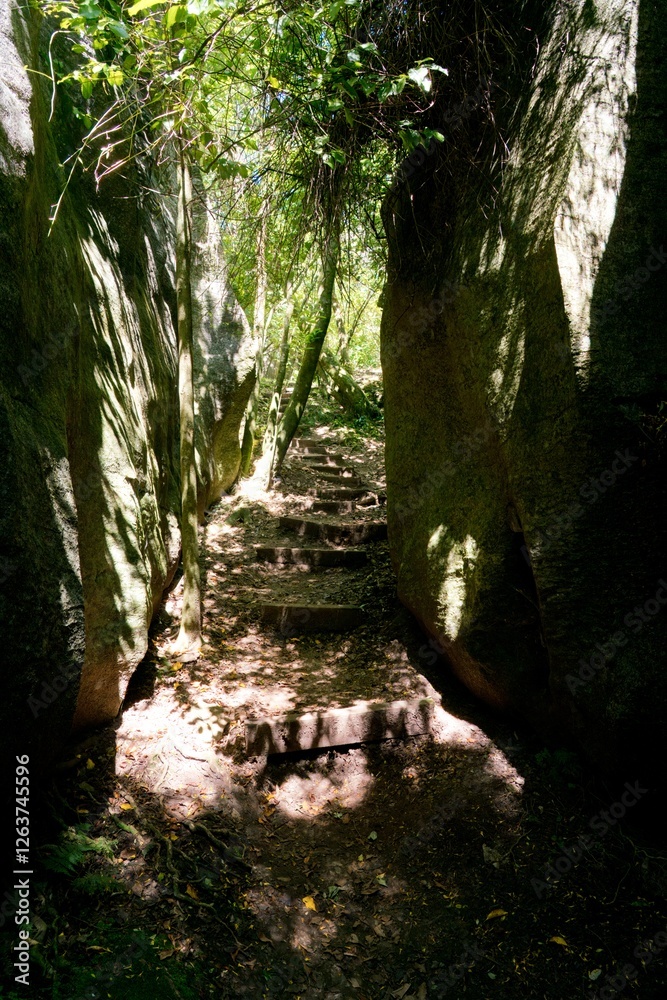 Way Through the Labyrinth Rocks in New Zealand – Mysterious Rock Formation Path Way Through the Labyrinth Rocks in New Zealand – Mysterious Rock Formation Path