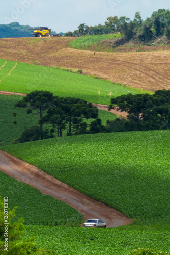 Obraz na płótnie Soy Field w salonie