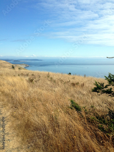 Looking over Pacific ocean shore from grassy hilltop