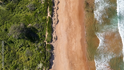 Drone shot aerial view of a beach and woods in Australia in summer 