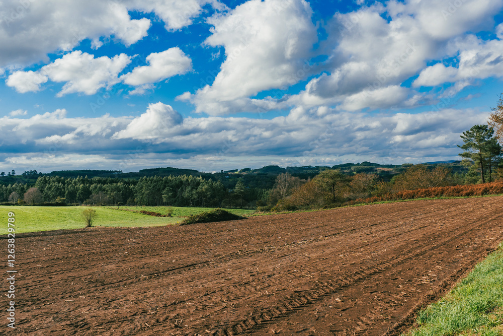 Landscape with view of crops and beautiful mountains with blue sky on the French Way. Stage Portomarin - Palas de Rei. Spain. Landscape with view of crops and beautiful mountains with blue sky on the French Way. Stage Portomarin - Palas de Rei. Spain.