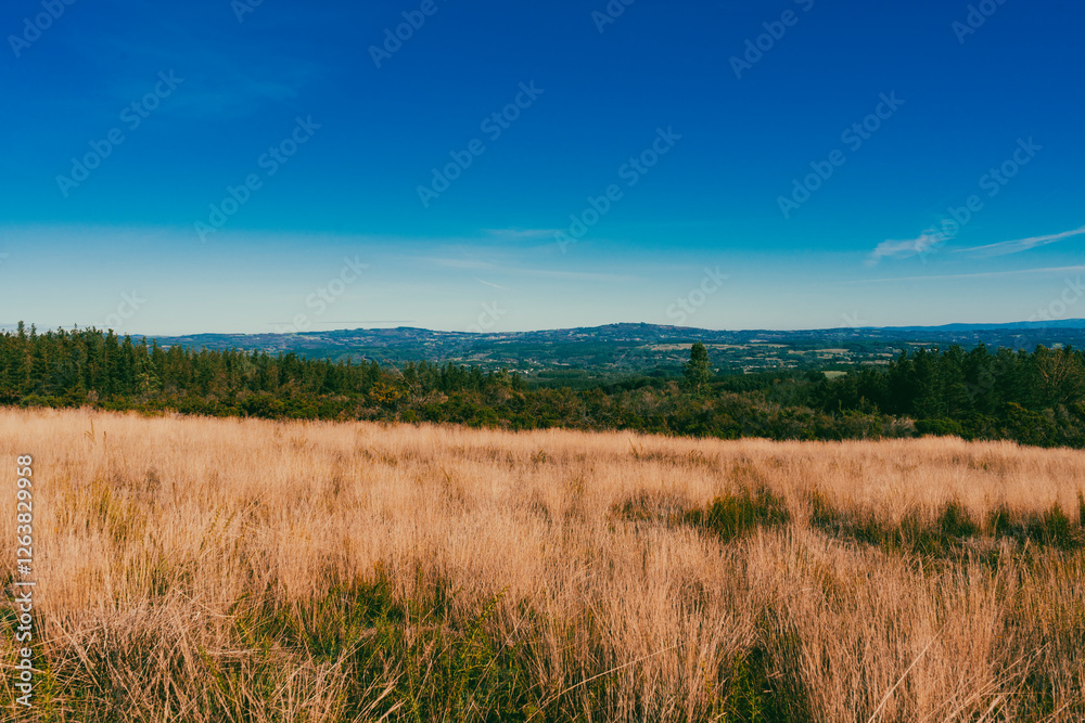 Landscape with view of crops and beautiful mountains with blue sky on the French Way. Stage Portomarin - Palas de Rei. Spain. Landscape with view of crops and beautiful mountains with blue sky on the French Way. Stage Portomarin - Palas de Rei. Spain.