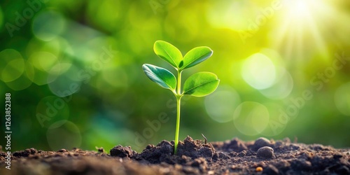 Close-up: a single pea sprout, symbolising vegan freshness and life's beginnings.