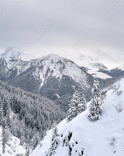 snow covered mountains in the alps