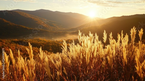 Golden grasses sway in the foreground as the sun sets behind distant mountains, casting warm light