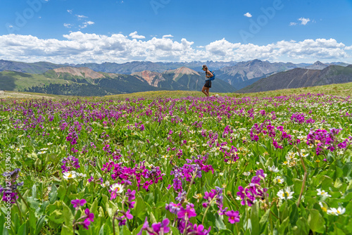 Canvas-taulu A woman hiking in wildflowers in Colorado high country