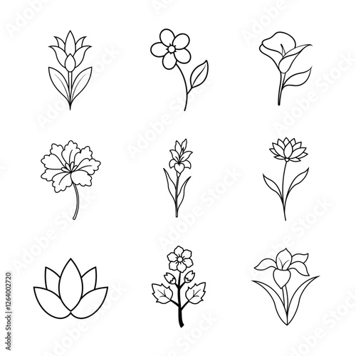 Flower line art vector illustration