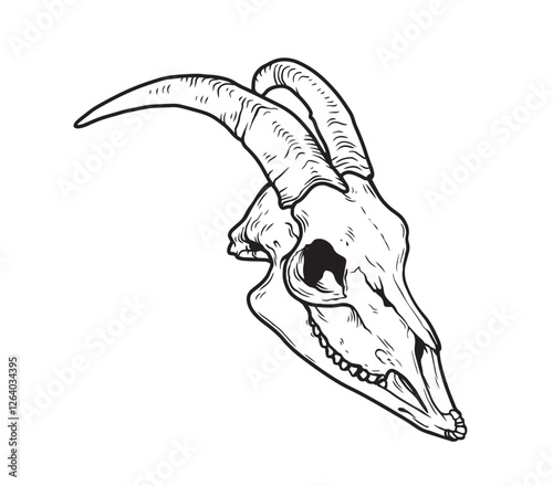 Goat Skull Digital Hand Drawn Line art Sketch Vector illustration in Retro Engraving Style. High Detailed Vintage Vector Illustration. Dramatic and detailed artwork of a black-horned goat skull. 