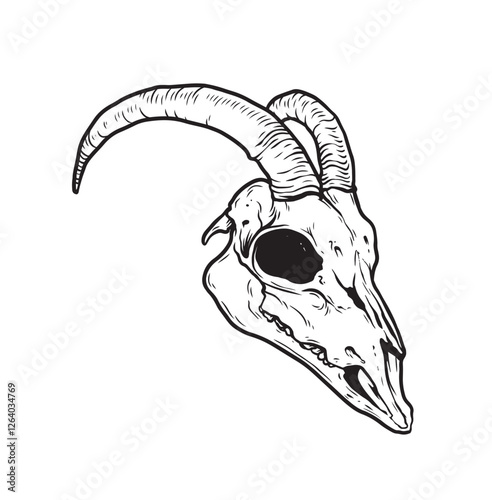 Goat Skull Digital Hand Drawn Line art Sketch Vector illustration in Retro Engraving Style. High Detailed Vintage Vector Illustration. Dramatic and detailed artwork of a black-horned goat skull. 