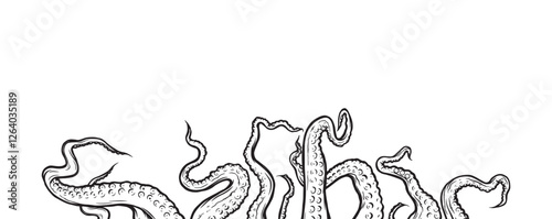 Tentacles of octopus, vector hand drawn collection of illustrations. Black and white engraving style drawings. Tentacle straight and with rings in different angles.