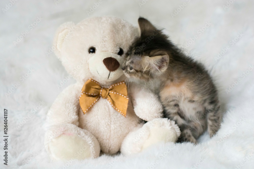 Fototapeta premium Cute little kitten on a white background. Selective focus.