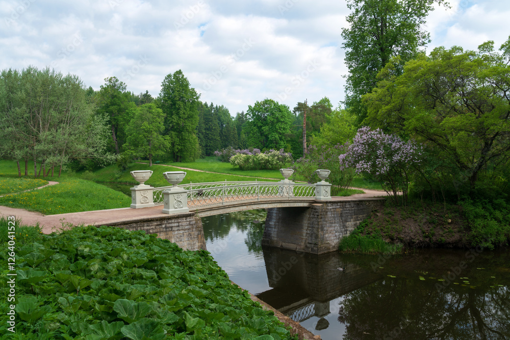 View of the Slavyanka River Valley and the Cast-iron Bridge in the Pavlovsky Palace and Park Complex on a sunny summer day, Pavlovsk, St. Petersburg, Russia View of the Slavyanka River Valley and the Cast-iron Bridge in the Pavlovsky Palace and Park Complex on a sunny summer day, Pavlovsk, St. Petersburg, Russia