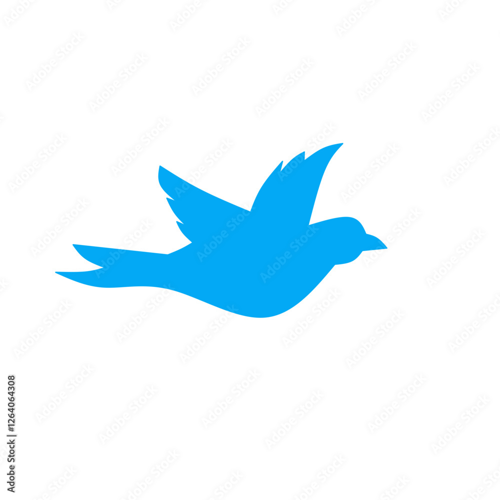 bird illustration bird illustration