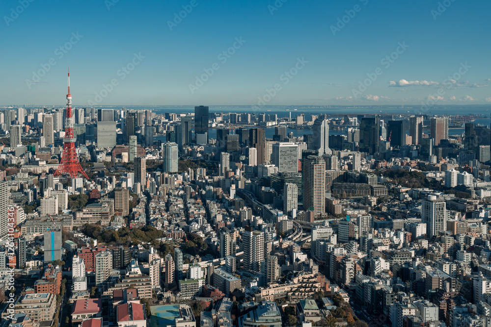 Fototapeta premium Panoramic view of Tokyo central area cityscape with Tokyo Tower at daytime